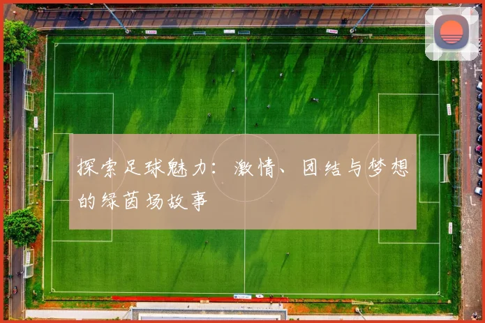 探索足球魅力：激情、团结与梦想的绿茵场故事