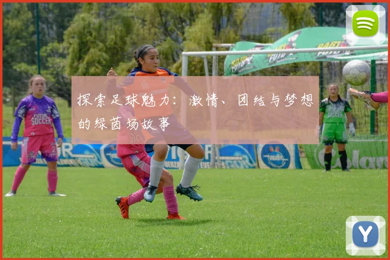 探索足球魅力：激情、团结与梦想的绿茵场故事