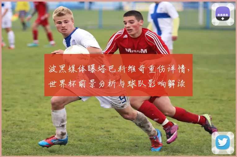波黑媒体曝塔巴科维奇重伤详情,世界杯前景分析与球队影响解读