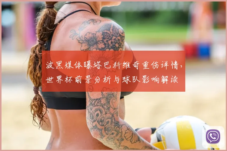 波黑媒体曝塔巴科维奇重伤详情,世界杯前景分析与球队影响解读